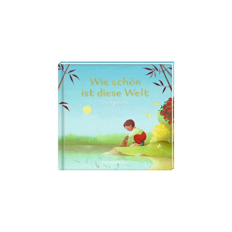 Geschenkbuch zur Geburt und Taufe: Wie schön ist diese Welt - Dankgebete, Neuware