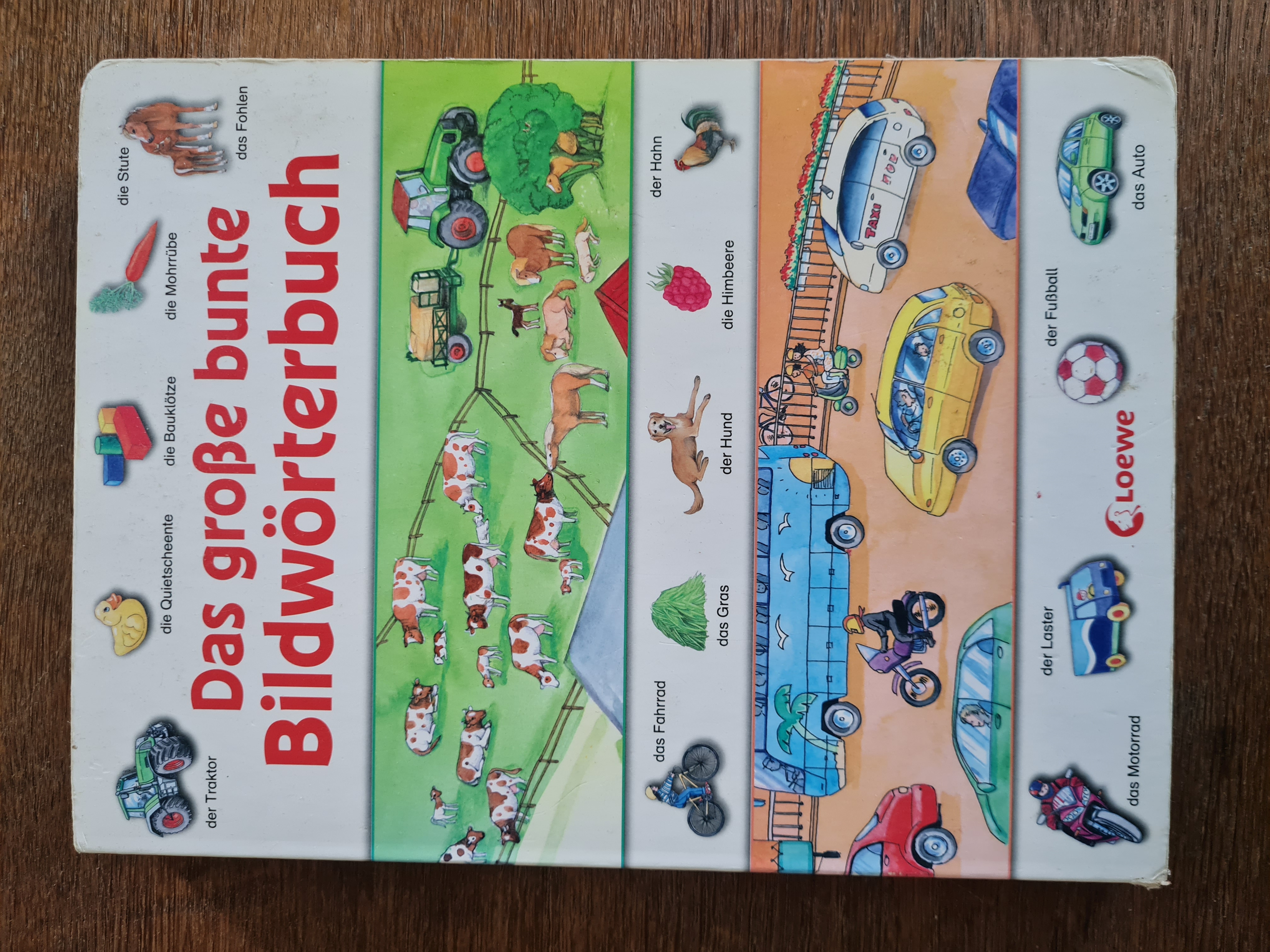 Das große bunte Bildwörterbuch