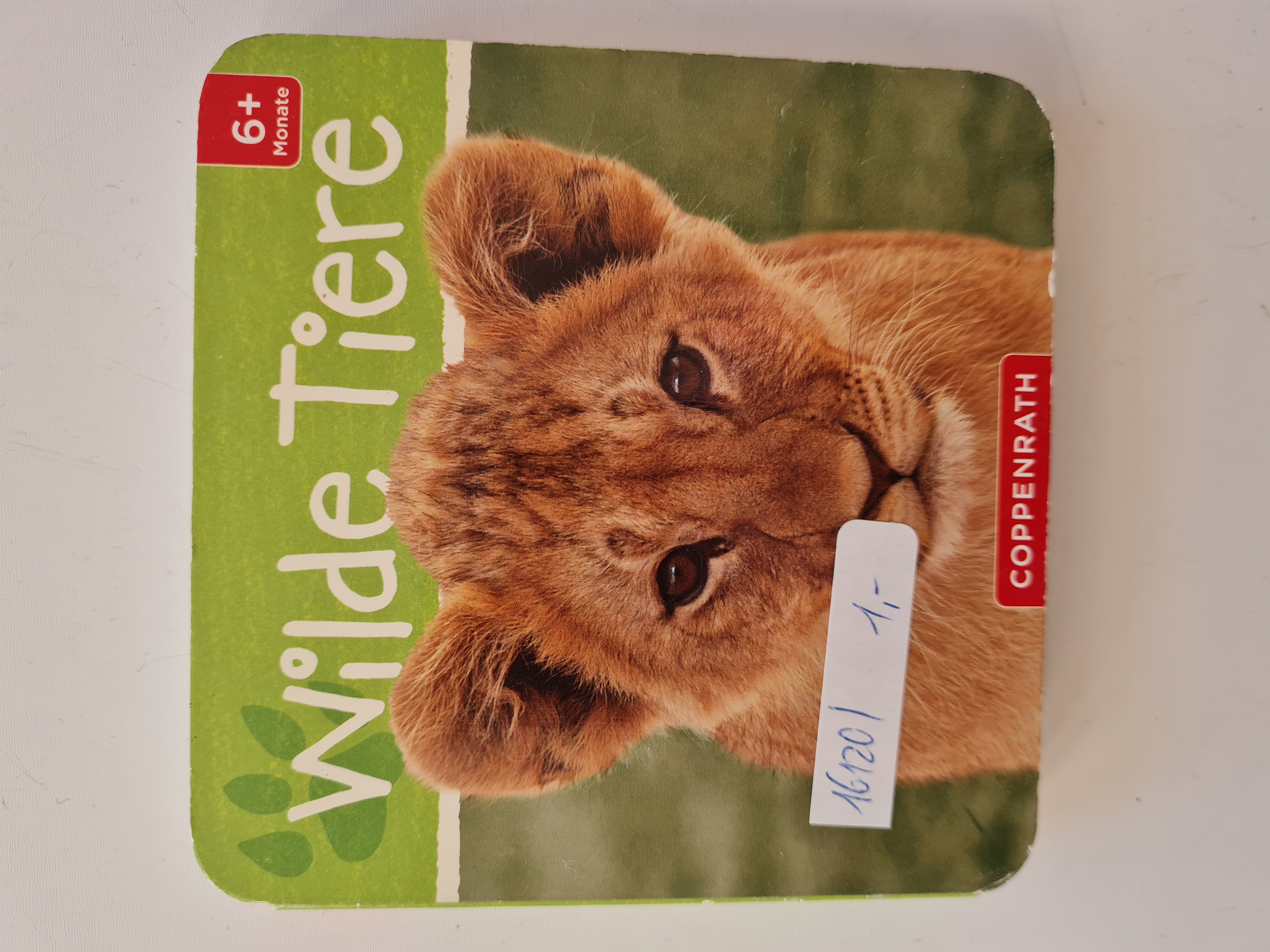 Mein erstes Tierbuch: Wilde Tiere, Pappbilderbuch, Neuware