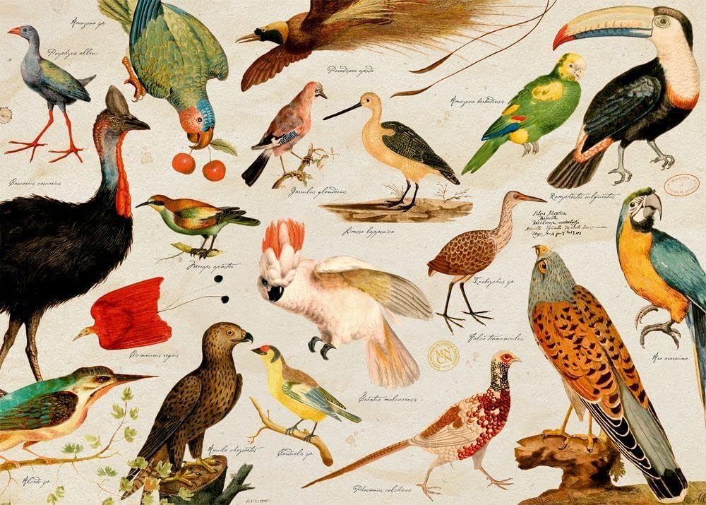 Puzzle: Illustrierte Tierwelt, 1000 Teile, Neuware