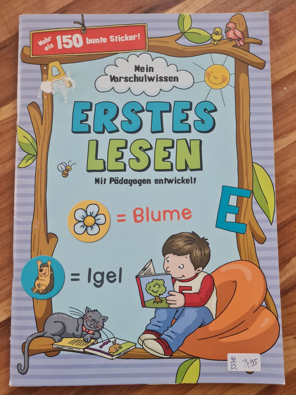 Mein Vorschulwissen: Erstes Lesen, Neuware
