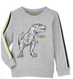 Sweatshirt "Dino" Gr. 110, Neuware
