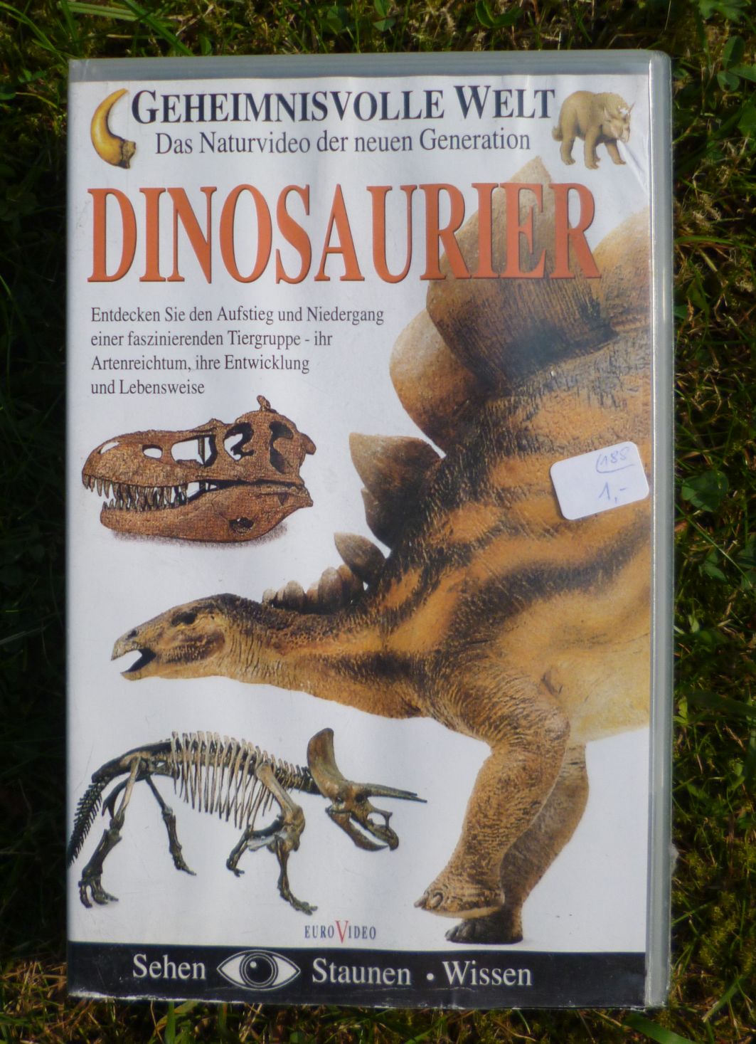VHS Dinosaurier