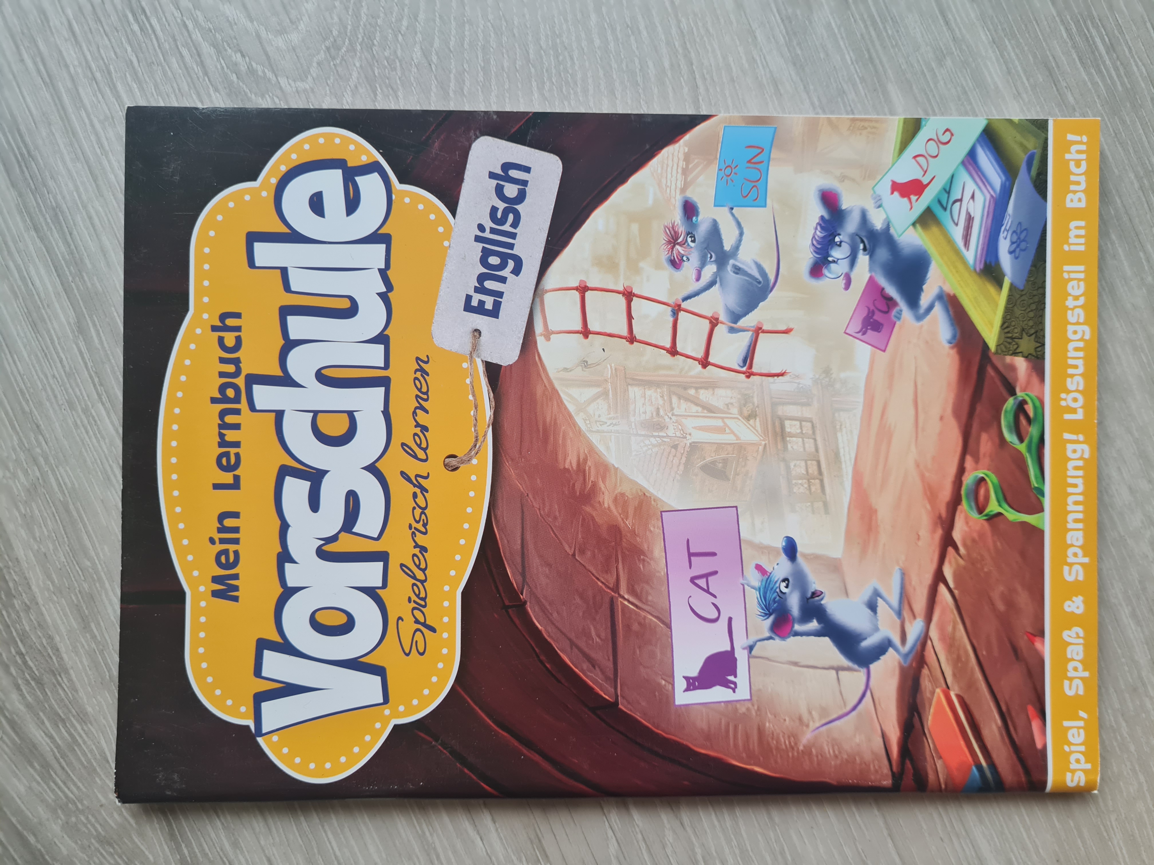 Mein Lernbuch Vorschule Englisch: Spielerisch lernen, Neuware
